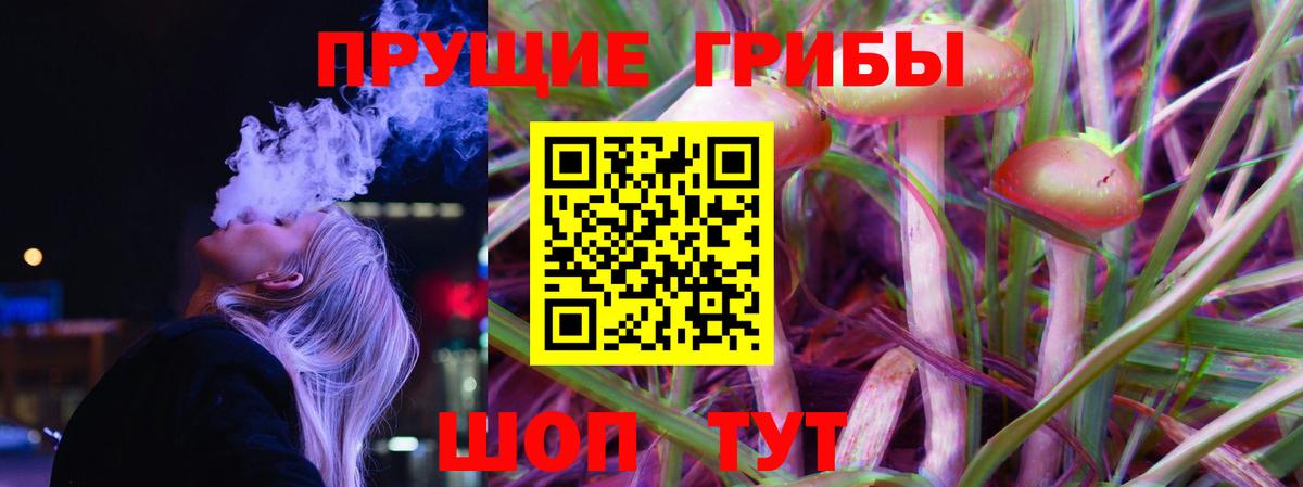 Галлюциногенные грибы Magic Shrooms  Вход с VPN  Шадринск 